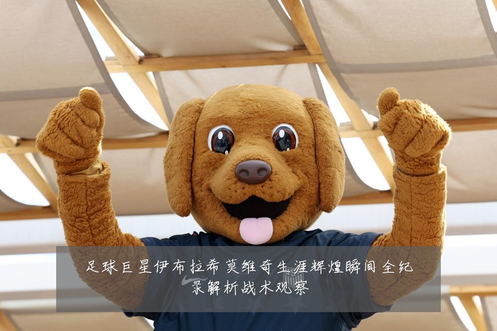 足球巨星伊布拉希莫维奇生涯辉煌瞬间全纪录解析战术观察